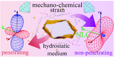 Graphical abstract: Solvent-controlled elongation and mechanochemical strain in a metal–organic framework