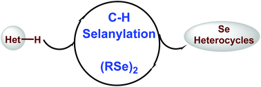 Graphical abstract: Diorganyl diselenides: a powerful tool for the construction of selenium containing scaffolds