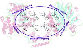 Graphical abstract: Synthesis, characterization, antimicrobial and antibiofilm activity, and molecular docking analysis of NHC precursors and their Ag-NHC complexes