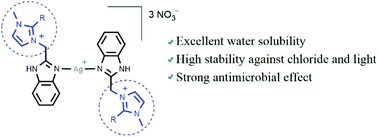 Graphical abstract: Water-soluble silver(i) complexes with N-donor benzimidazole ligands containing an imidazolium core: stability and preliminary biological studies