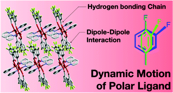 Graphical abstract: Dipole fluctuation and structural phase transition in hydrogen-bonding molecular assemblies of mononuclear CuII complexes with polar fluorobenzoate ligands