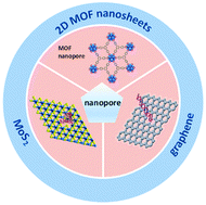 Graphical abstract: Two-dimensional materials as solid-state nanopores for chemical sensing