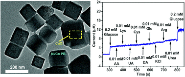 Graphical abstract: Nanosized CuO encapsulated Ni/Co bimetal Prussian blue with high anti-interference and stability for electrochemical non-enzymatic glucose detection