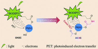 Graphical abstract: Optimization of axial ligands to promote the photoactivation of BODIPY-conjugated platinum(iv) anticancer prodrugs