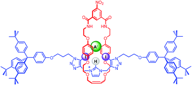 Graphical abstract: Anion recognition by halogen bonding and hydrogen bonding bis(triazole)-imidazolium [2]rotaxanes