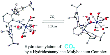Graphical abstract: Hydrostannylation of carbon dioxide by a hydridostannylene molybdenum complex