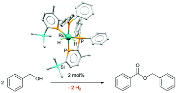 Graphical abstract: A ruthenium cis-dihydride with 2-phosphinophosphinine ligands catalyses the acceptorless dehydrogenation of benzyl alcohol