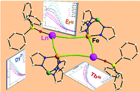 Graphical abstract: A rare isostructural series of 3d–4f cyanido-bridged heterometallic squares obtained by assembling [FeIII{HB(pz)3}(CN)3]− and LnIII ions: synthesis, X-ray structure and cryomagnetic study