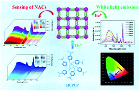 Graphical abstract: Multifunctional luminescence sensing and white light adjustment of lanthanide metal–organic frameworks constructed from the flexible cyclotriphosphazene-derived hexacarboxylic acid ligand