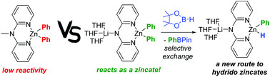 Graphical abstract: Formation of a hydride containing amido-zincate using pinacolborane