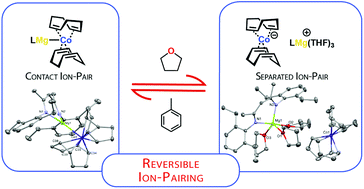 Graphical abstract: Low-oxidation state cobalt–magnesium complexes: ion-pairing and reactivity
