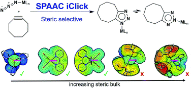 Graphical abstract: SPAAC iClick: progress towards a bioorthogonal reaction in-corporating metal ions