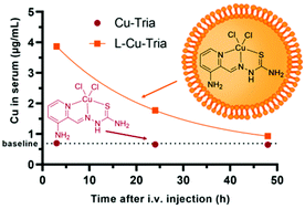 Graphical abstract: Liposomal formulations of anticancer copper(ii) thiosemicarbazone complexes