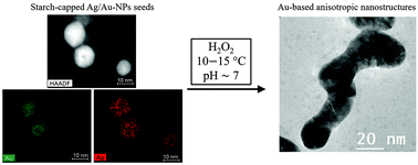Graphical abstract: Green synthesis and characterization of gold-based anisotropic nanostructures using bimetallic nanoparticles as seeds