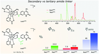 Graphical abstract: Reduced quenching effect of pyridine ligands in highly luminescent Ln(iii) complexes: the role of tertiary amide linkers