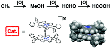 Graphical abstract: Synthesis of a monocationic μ-nitrido-bridged iron porphycene dimer and its methane oxidation activity