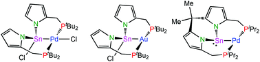 Graphical abstract: Stannylenes based on pyrrole-phosphane and dipyrromethane-diphosphane scaffolds: syntheses and behavior as precursors to PSnP pincer palladium(ii), palladium(0) and gold(i) complexes