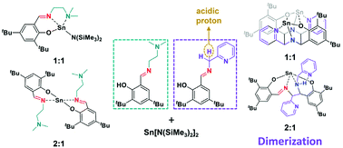 Graphical abstract: Complexity of imine and amine Schiff-base tin(ii) complexes: drastic differences of amino and pyridyl side arms