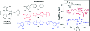 Graphical abstract: Modified pyridine–triazole and 2,2′-bipyrimidine ligands generating robust titanium complexes constructed around a TiO4N2 core