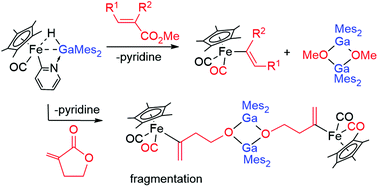Graphical abstract: C–O and C–C bond cleavage of α,β-unsaturated esters with the assistance of a gallane(pyridyl)iron complex