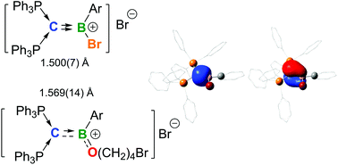 Graphical abstract: Facile access to halogenated cationic B [[double bond, length as m-dash]] C-centered organoborons isoelectronic with alkenyl halides