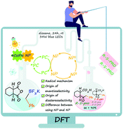 Graphical abstract: Theoretical mechanistic study of 4CzIPN/Ni0-metallaphotoredox catalyzed enantioselective desymmetrization of cyclic meso-anhydrides