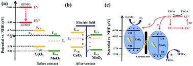Graphical abstract: Synergistic effect of the MoO2/CeO2 S-scheme heterojunction on carbon rods for enhanced photocatalytic hydrogen evolution