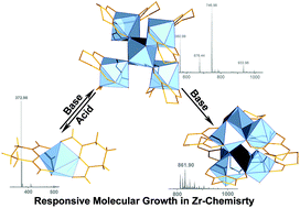 Graphical abstract: Acid/base responsive assembly/dis-assembly of a family of zirconium(iv) clusters with a cyclic imide-dioxime ligand