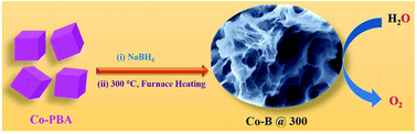 Graphical abstract: Electrochemically activated Co-Prussian blue analogue derived amorphous CoB nanostructures: an efficient electrocatalyst for the oxygen evolution reaction