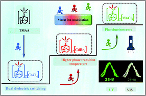 Graphical abstract: Metal ion modulation triggers dielectric double switching and green fluorescence in A2MX4-type compounds