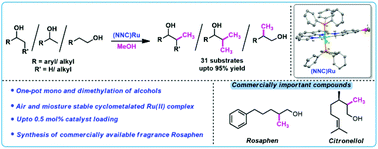 Graphical abstract: Cyclometalated (NNC)Ru(ii) complex catalyzed β-methylation of alcohols using methanol