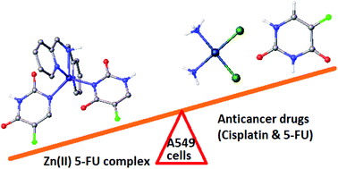 Graphical abstract: Novel 5-fluorouracil complexes of Zn(ii) with pyridine-based ligands as potential anticancer agents