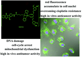Graphical abstract: Complexes of Zn(ii) with a mixed tryptanthrin derivative and curcumin chelating ligands as new promising anticancer agents