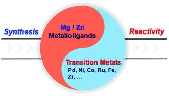 Graphical abstract: Synthesis and reactivity of heterometallic complexes containing Mg- or Zn-metalloligands