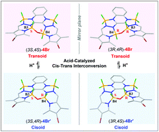 Graphical abstract: B–O–B bridged BOPPY derivatives: synthesis, structures, and acid-catalyzed cis–trans isomeric interconversion