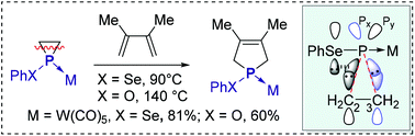 Graphical abstract: Insight into fragmentation of a phosphirane to form phosphinidene complexes: an illustration with the 1-phenylselenylphosphirane W(CO)5 complex