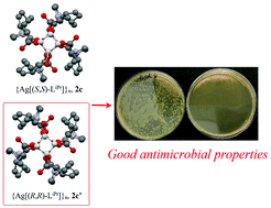 Graphical abstract: Homochiral imidazolium-based dicarboxylate silver(i) compounds: synthesis, characterisation and antimicrobial properties