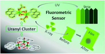Graphical abstract: Unveiling the new function of uranyl molecular clusters as fluorometric sensors for UV and X-ray dosimetry
