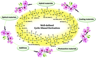 Graphical abstract: Well-defined cyclic silanol derivatives