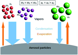 Graphical abstract: Condensation sink of atmospheric vapors: the effect of vapor properties and the resulting uncertainties