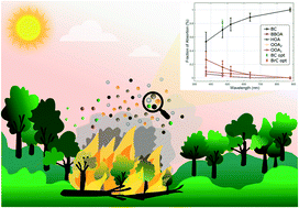 Graphical abstract: Linking the chemical composition and optical properties of biomass burning aerosols in Amazonia