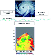 Graphical abstract: Tropical cyclone-induced cold wakes in the northeast Indian Ocean