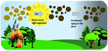 Graphical abstract: Photoreaction of biomass burning brown carbon aerosol particles
