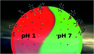 Graphical abstract: The surface composition of amino acid – halide salt solutions is pH-dependent