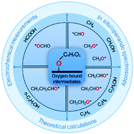 Graphical abstract: Role of oxygen-bound reaction intermediates in selective electrochemical CO2 reduction