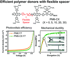 Graphical abstract: Flexible-spacer incorporated polymer donors enable superior blend miscibility for high-performance and mechanically-robust polymer solar cells