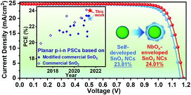 Graphical abstract: Boosted charge extraction of NbOx-enveloped SnO2 nanocrystals enables 24% efficient planar perovskite solar cells