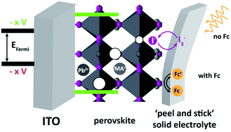 Graphical abstract: Defect quantification in metal halide perovskites: the solid-state electrochemical alternative