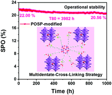Graphical abstract: Star-polymer multidentate-cross-linking strategy for superior operational stability of inverted perovskite solar cells at high efficiency