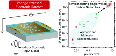 Graphical abstract: High-performance carbon nanotube electronic ratchets